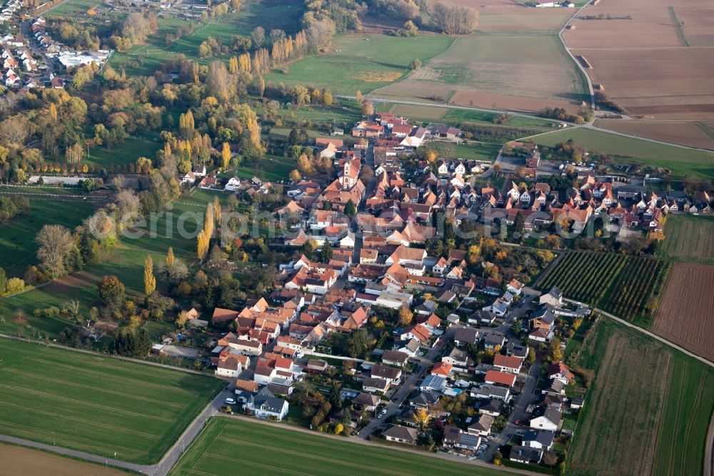 Aerial image Billigheim-Ingenheim - Town View of the streets and houses of the residential areas in the district Muehlhofen in Billigheim-Ingenheim in the state Rhineland-Palatinate