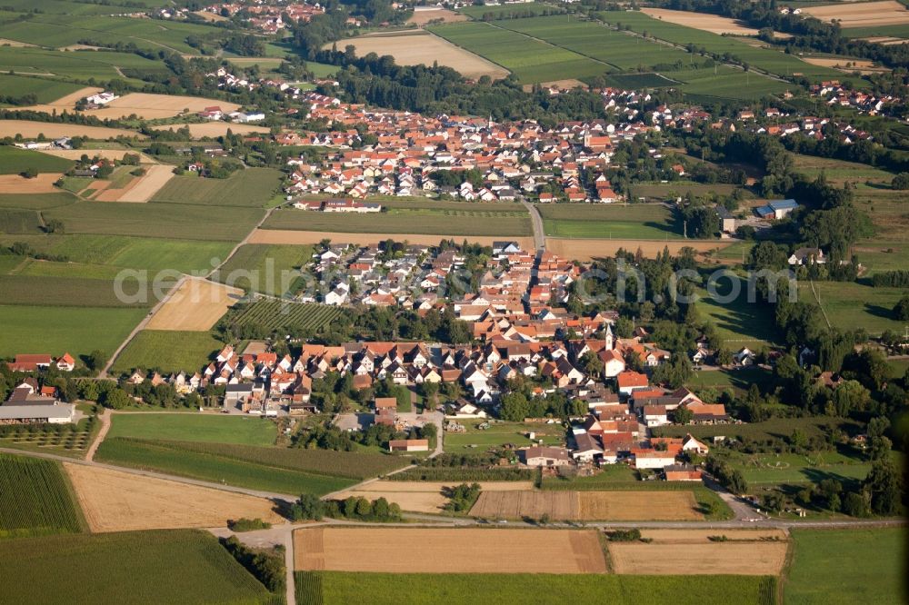 Billigheim-Ingenheim from the bird's eye view: Town View of the streets and houses of the residential areas in the district Muehlhofen in Billigheim-Ingenheim in the state Rhineland-Palatinate