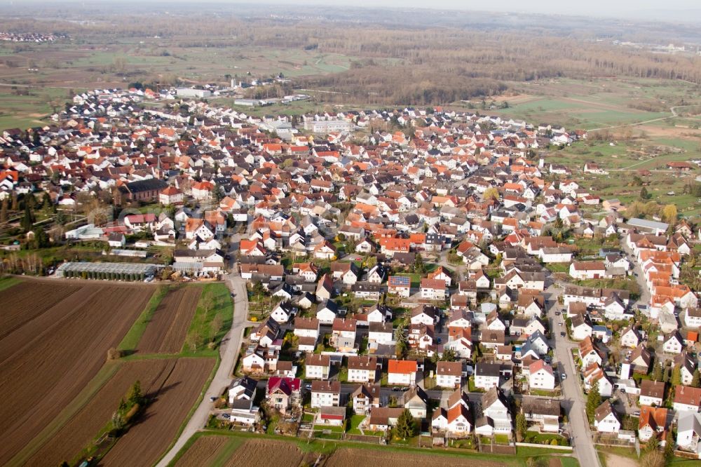 Au am Rhein from above - Town View of the streets and houses of the residential areas in the district Neuburgweier in Au am Rhein in the state Baden-Wuerttemberg