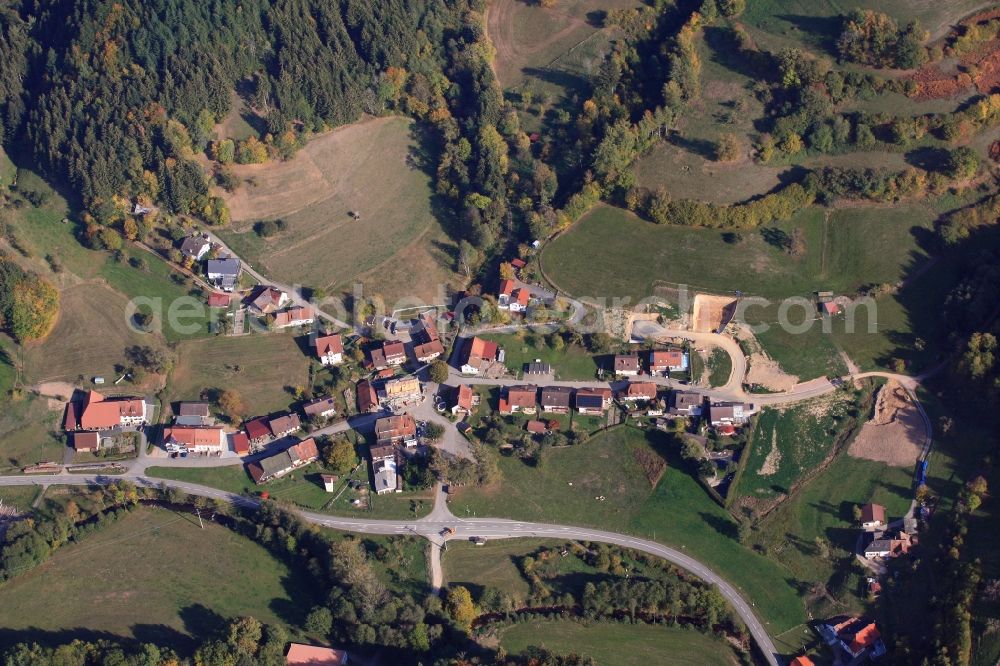 Kleines Wiesental from the bird's eye view: Village Niedertegernau in Kleines Wiesental in the Black Forest in the state Baden-Wurttemberg, Germany