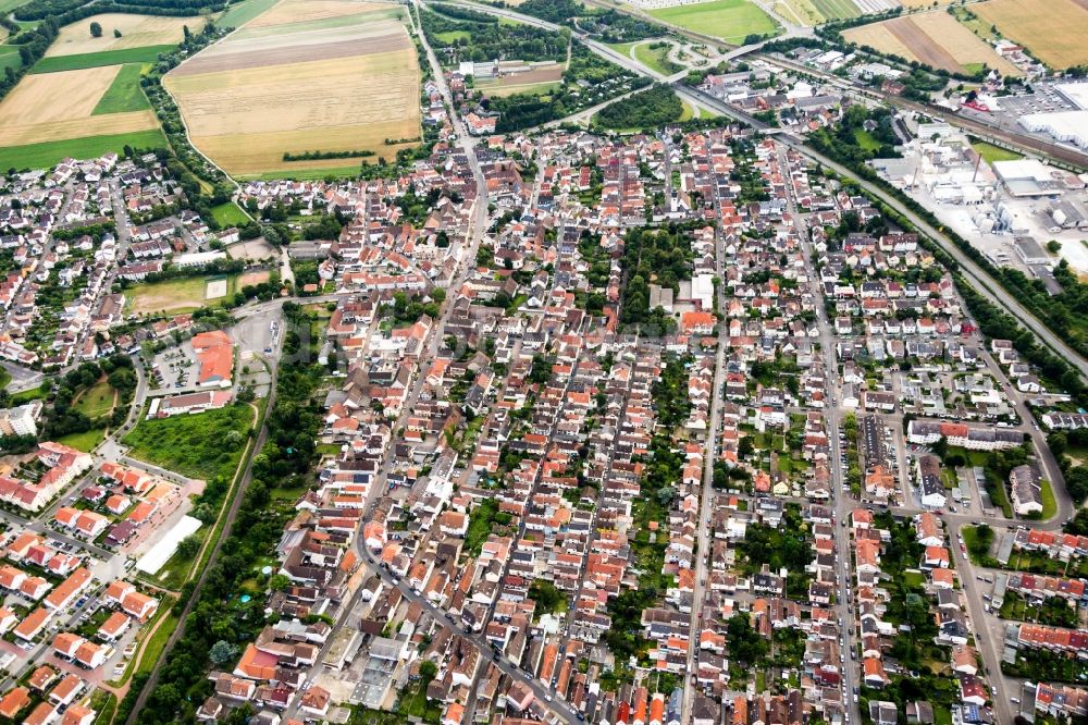 Ludwigshafen am Rhein from above - Town View of the streets and houses of the residential areas in the district Rheingoenheim in Ludwigshafen am Rhein in the state Rhineland-Palatinate, Germany