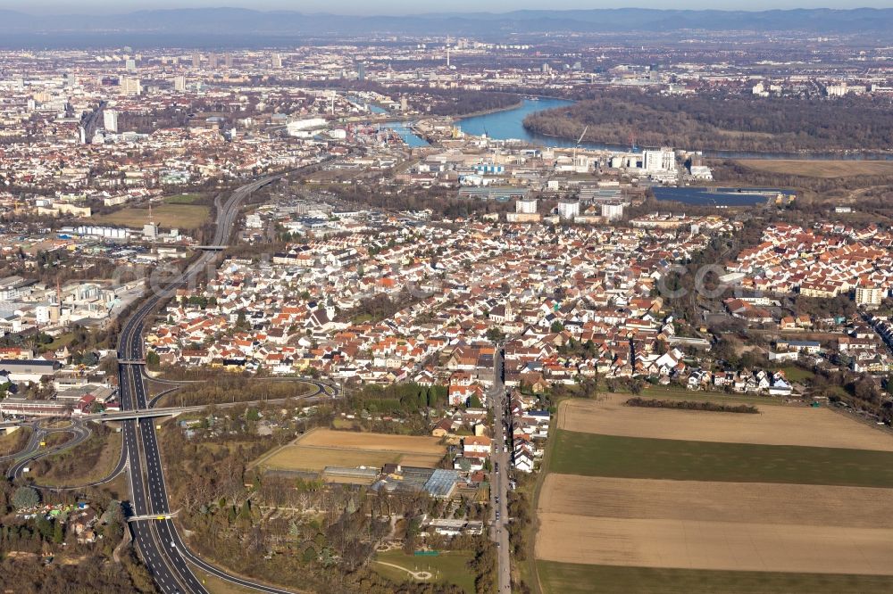 Aerial image Ludwigshafen am Rhein - Town View of the streets and houses of the residential areas in the district Rheingoenheim in Ludwigshafen am Rhein in the state Rhineland-Palatinate, Germany