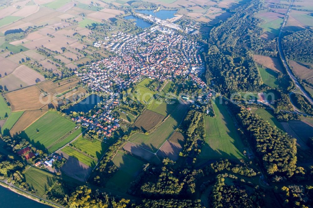 Philippsburg from the bird's eye view: Town View of the streets and houses of the residential areas in the district Rheinsheim in Philippsburg in the state Baden-Wuerttemberg, Germany