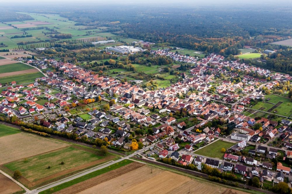 Aerial photograph Wörth am Rhein - Town View of the streets and houses of the residential areas in the district Schaidt in Woerth am Rhein in the state Rhineland-Palatinate, Germany