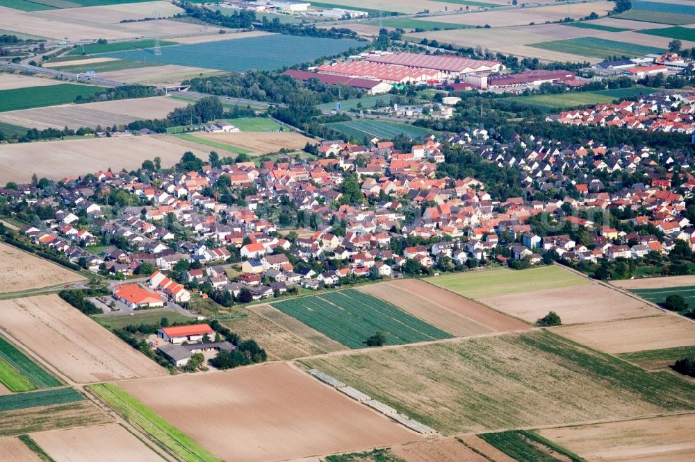 Dannstadt-Schauernheim from the bird's eye view: Town View of the streets and houses of the residential areas in the district Schauernheim in Dannstadt-Schauernheim in the state Rhineland-Palatinate