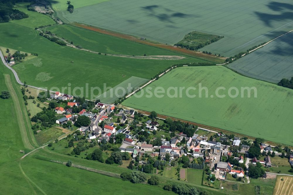 Nienburg (Saale) from the bird's eye view: Town View of the streets and houses of the residential areas in the district Wispitz mit umgebenden Feldern in Nienburg (Saale) in the state Saxony-Anhalt