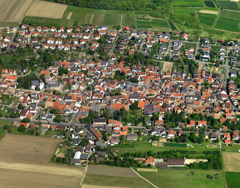 Partenheim from the bird's eye view: View at Partenheim in Rhineland-Palatinate