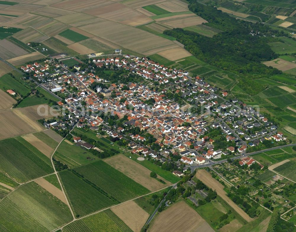 Aerial photograph Partenheim - View at Partenheim in Rhineland-Palatinate