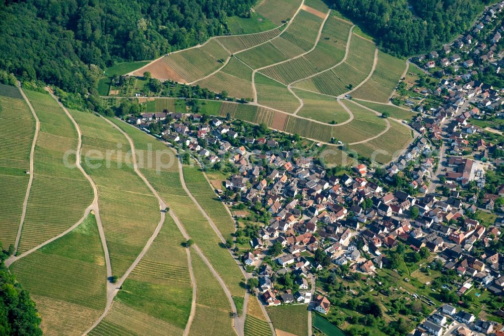 Aerial photograph Pfaffenweiler - Town View of the streets and houses of the residential areas in Pfaffenweiler in the state Baden-Wuerttemberg, Germany