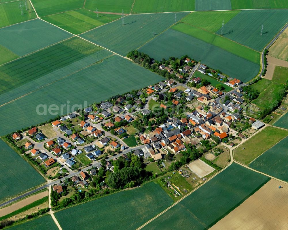 Aerial photograph Pleitersheim - View at Pleitersheim in Rhineland-Palatinate