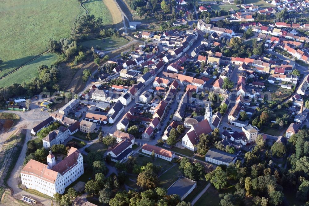 Pretzsch (Elbe) from above - View of Pretzsch (Elbe) with the church of Saint Nikolaus and the historical castle in the state of Saxony-Anhalt