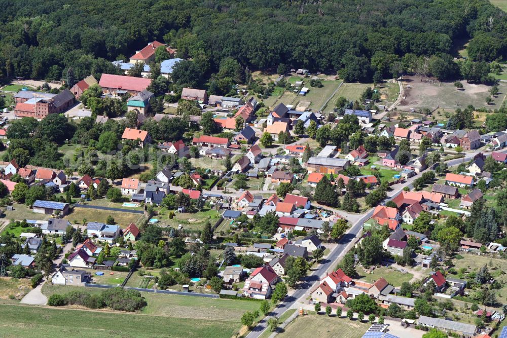 Aerial image Priorau - Town View of the streets and houses of the residential areas in Priorau in the state Saxony-Anhalt, Germany