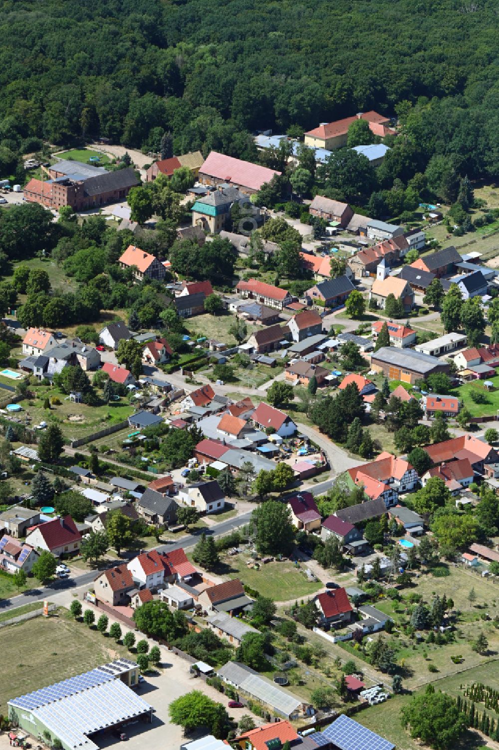 Aerial photograph Priorau - Town View of the streets and houses of the residential areas in Priorau in the state Saxony-Anhalt, Germany