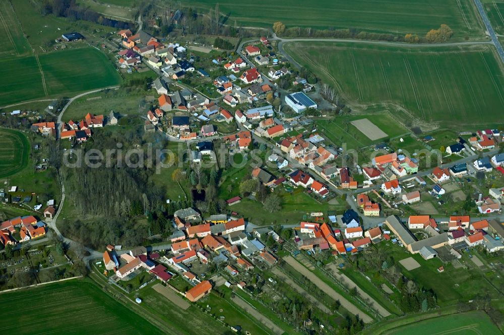 Aerial photograph Allerstedt - Village view on the edge of agricultural fields and land in Allerstedt in the state Saxony-Anhalt, Germany