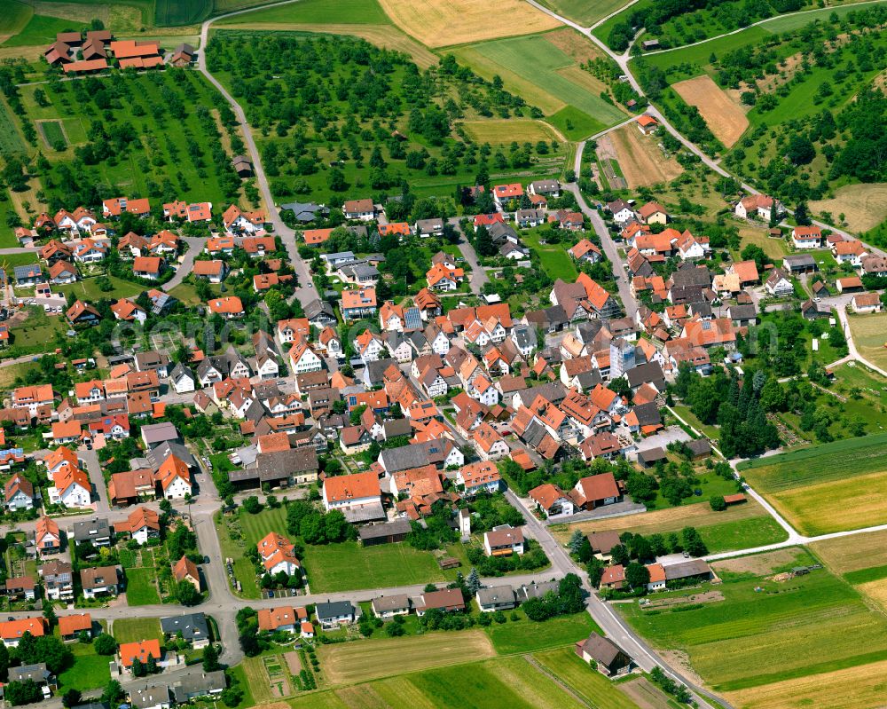 Aerial image Ammerbuch - Village view on the edge of agricultural fields and land in Ammerbuch in the state Baden-Wuerttemberg, Germany