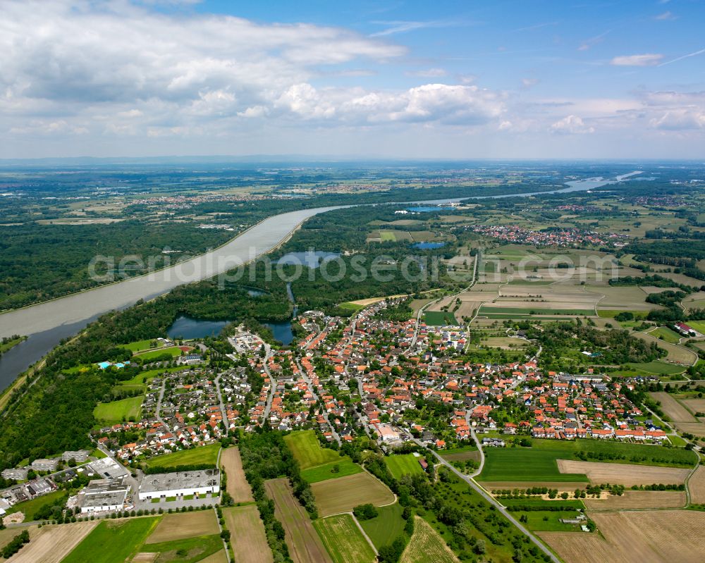 Auenheim from the bird's eye view: Village view on the edge of agricultural fields and land in Auenheim in the state Baden-Wuerttemberg, Germany