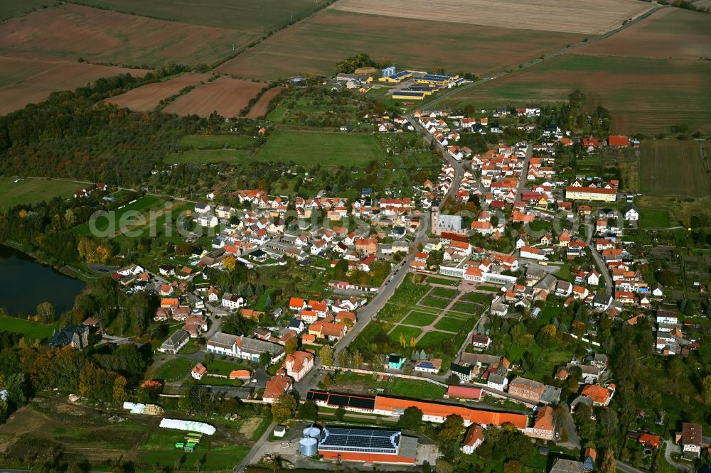 Bendeleben from above - Village view on the edge of agricultural fields and land in Bendeleben in the state Thuringia, Germany