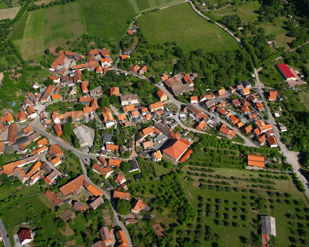 Aerial image Benzingerode - Village view on the edge of agricultural fields and land in Benzingerode in the state Saxony-Anhalt, Germany