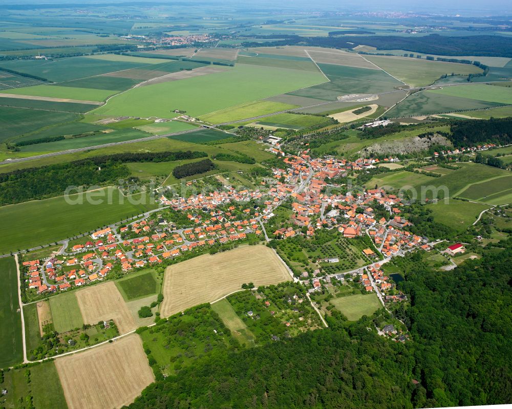 Aerial image Benzingerode - Village view on the edge of agricultural fields and land in Benzingerode in the state Saxony-Anhalt, Germany