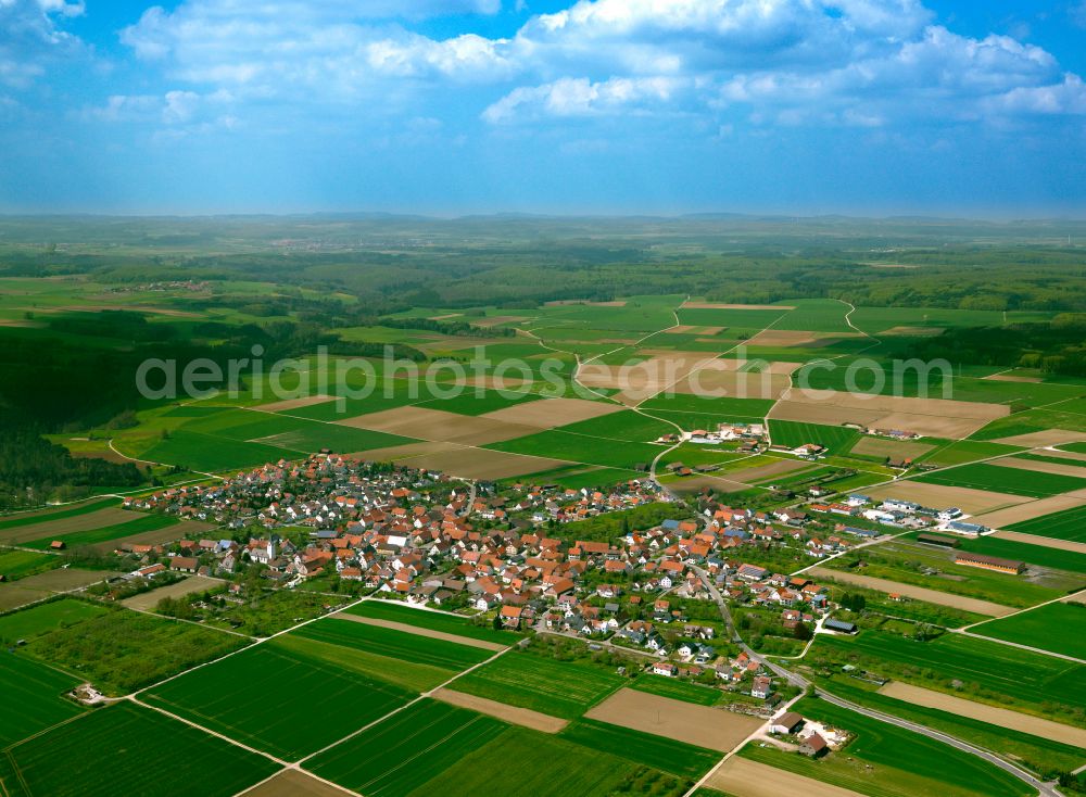 Bermaringen from the bird's eye view: Village view on the edge of agricultural fields and land in Bermaringen in the state Baden-Wuerttemberg, Germany