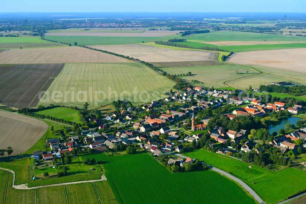 Bochow from above - Village view on the edge of agricultural fields and land in Bochow in the state Brandenburg, Germany