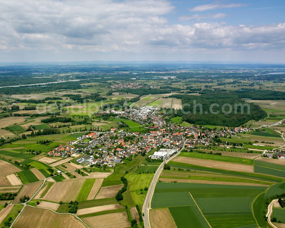 Aerial image Bodersweier - Village view on the edge of agricultural fields and land in Bodersweier in the state Baden-Wuerttemberg, Germany