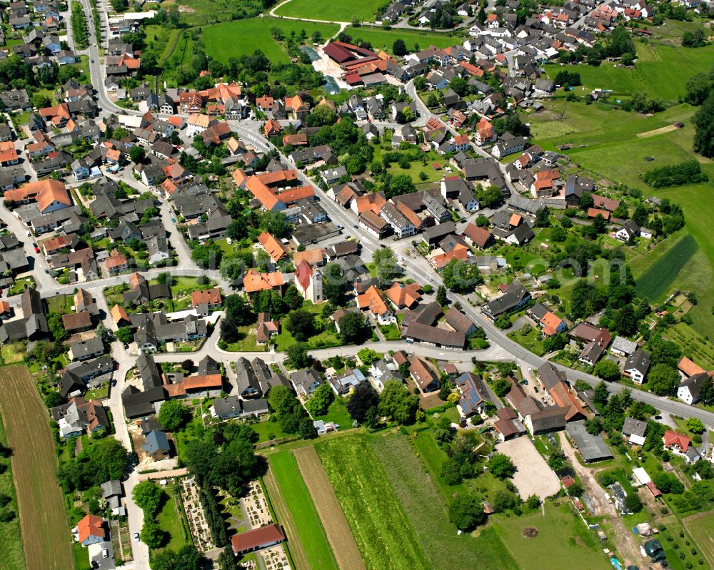 Aerial photograph Bodersweier - Village view on the edge of agricultural fields and land in Bodersweier in the state Baden-Wuerttemberg, Germany