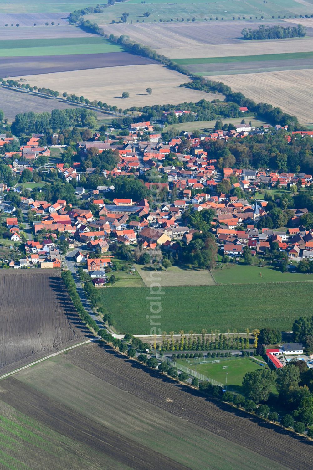 Dedeleben from the bird's eye view: Village view on the edge of agricultural fields and land in Dedeleben in the state Saxony-Anhalt, Germany