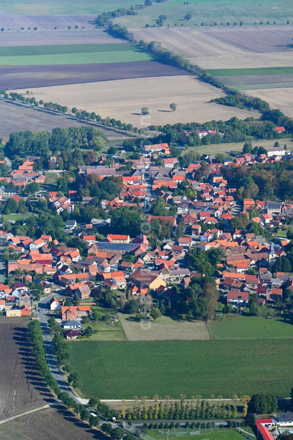 Aerial image Dedeleben - Village view on the edge of agricultural fields and land in Dedeleben in the state Saxony-Anhalt, Germany