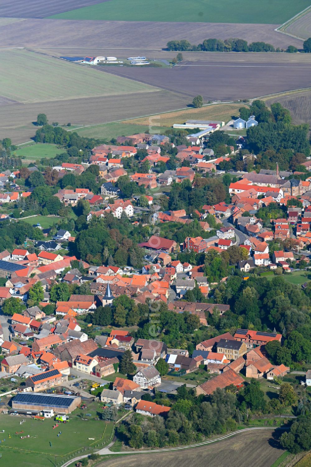 Aerial image Dedeleben - Village view on the edge of agricultural fields and land in Dedeleben in the state Saxony-Anhalt, Germany