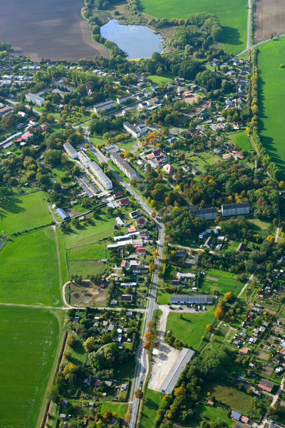 Prenzlau from the bird's eye view: Village view on the edge of agricultural fields and land from Dedelow in Prenzlau in the state Brandenburg, Germany