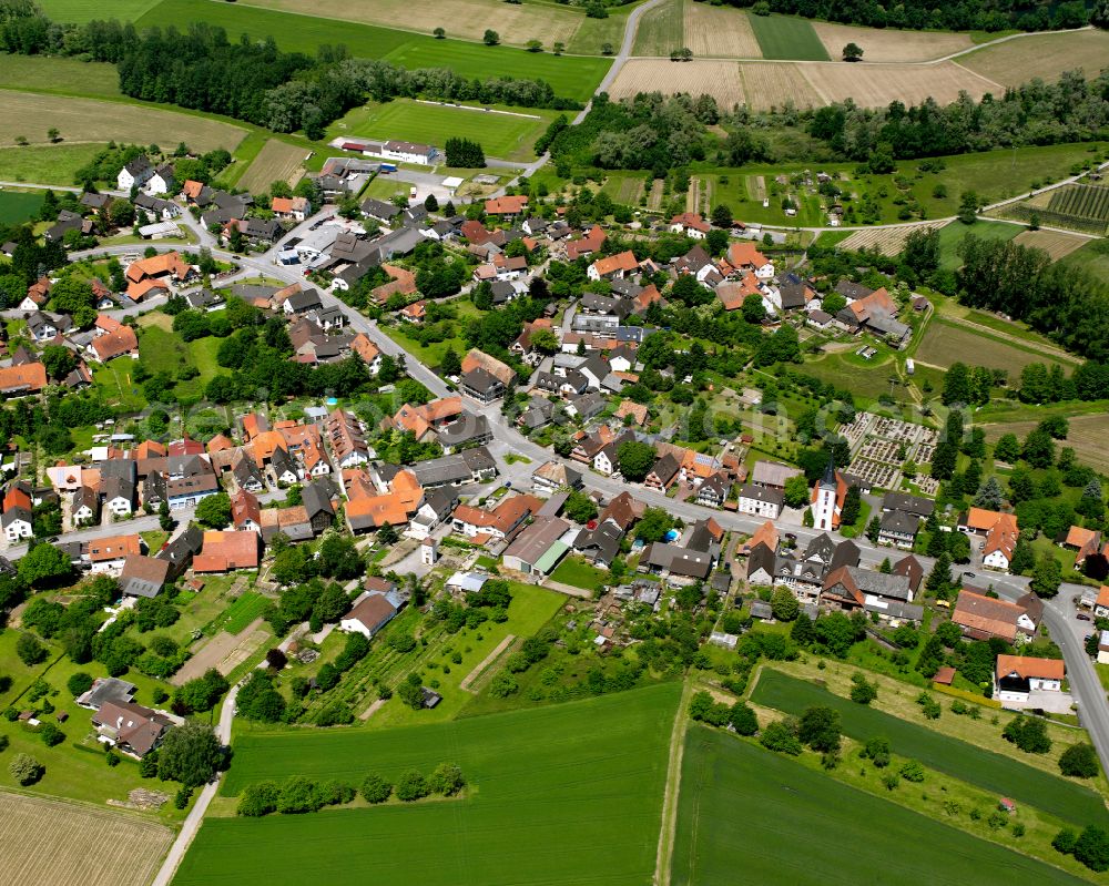 Aerial photograph Diersheim - Village view on the edge of agricultural fields and land in Diersheim in the state Baden-Wuerttemberg, Germany