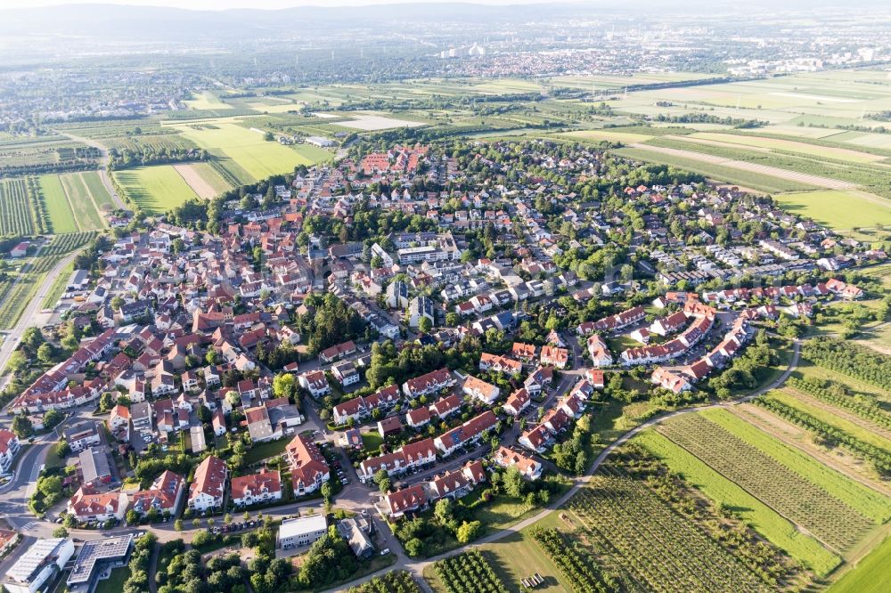 Drais from the bird's eye view: Village view on the edge of agricultural fields and land in Drais in the state Rhineland-Palatinate, Germany