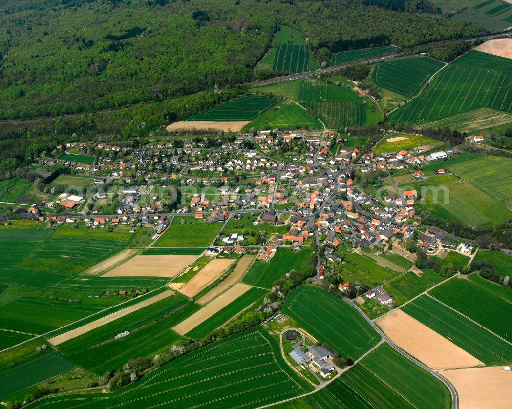 Eifa from the bird's eye view: Village view on the edge of agricultural fields and land in Eifa in the state Hesse, Germany