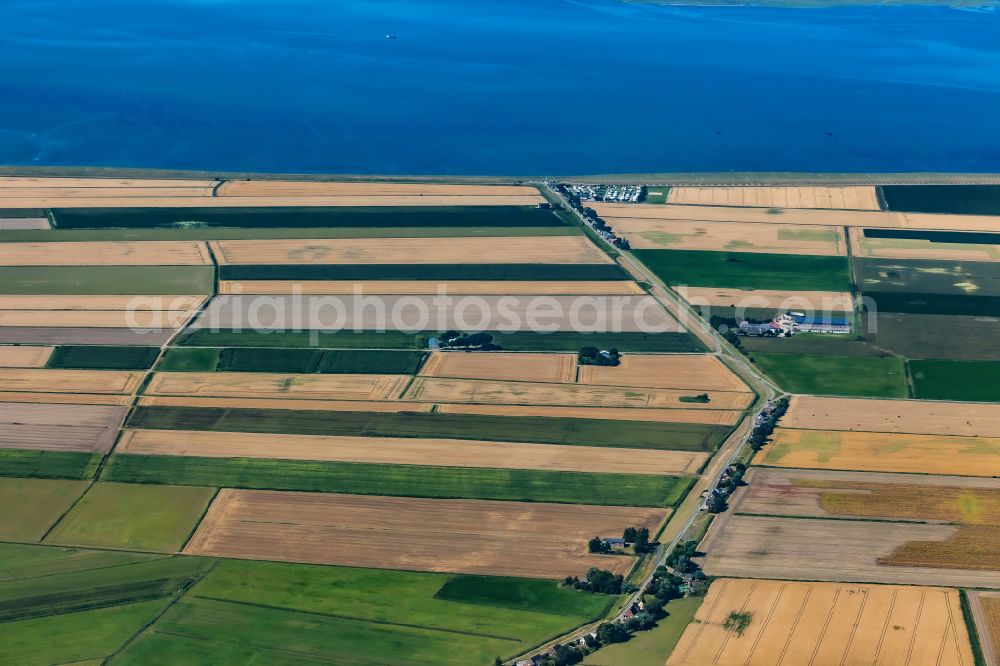 Nordstrand from above - Village view on the edge of agricultural fields and land in Elisabeth- Sophien- Koog on street Hamburger Deich in Nordstrand North Friesland in the state Schleswig-Holstein, Germany