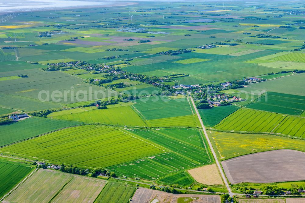 Emmelsbüll from the bird's eye view: Village view on the edge of agricultural fields and land on street Dorfstrasse in Emmelsbuell in the state Schleswig-Holstein, Germany