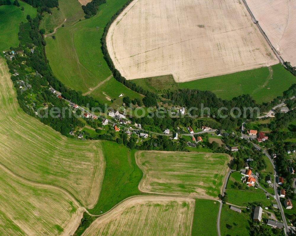 Falkenberg from the bird's eye view: Village view on the edge of agricultural fields and land in Falkenberg in the state Saxony, Germany