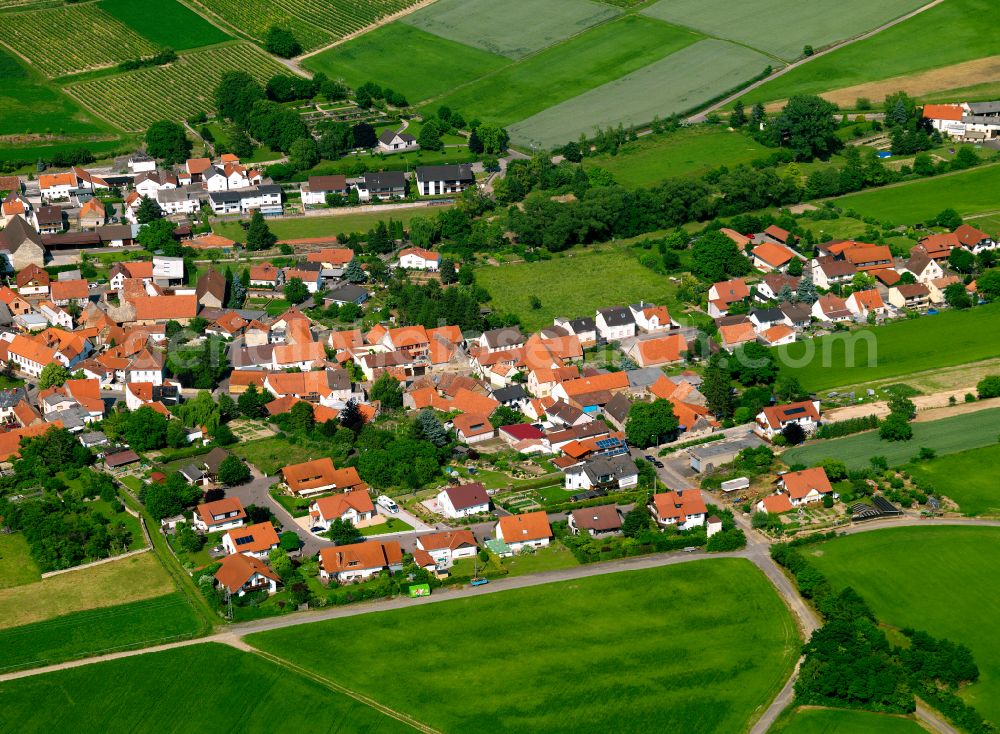 Gauersheim from above - Village view on the edge of agricultural fields and land in Gauersheim in the state Rhineland-Palatinate, Germany