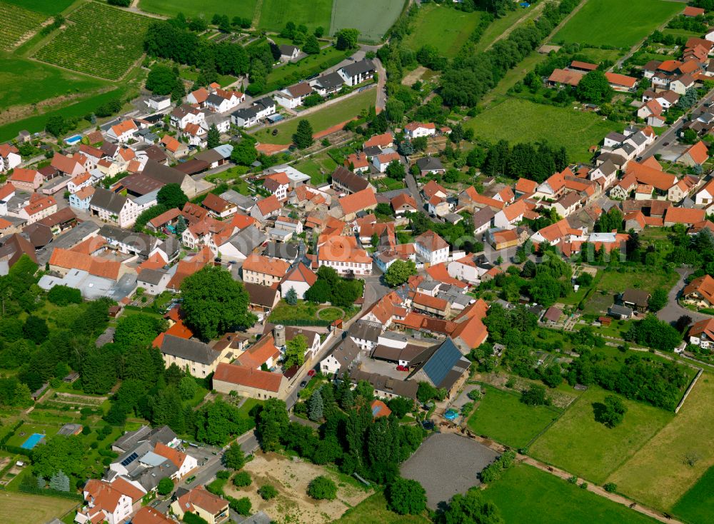 Gauersheim from the bird's eye view: Village view on the edge of agricultural fields and land in Gauersheim in the state Rhineland-Palatinate, Germany