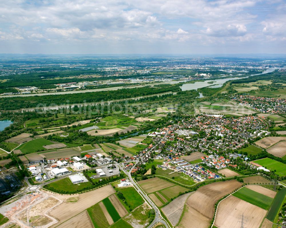 Aerial photograph Goldscheuer - Village view on the edge of agricultural fields and land in Goldscheuer in the state Baden-Wuerttemberg, Germany