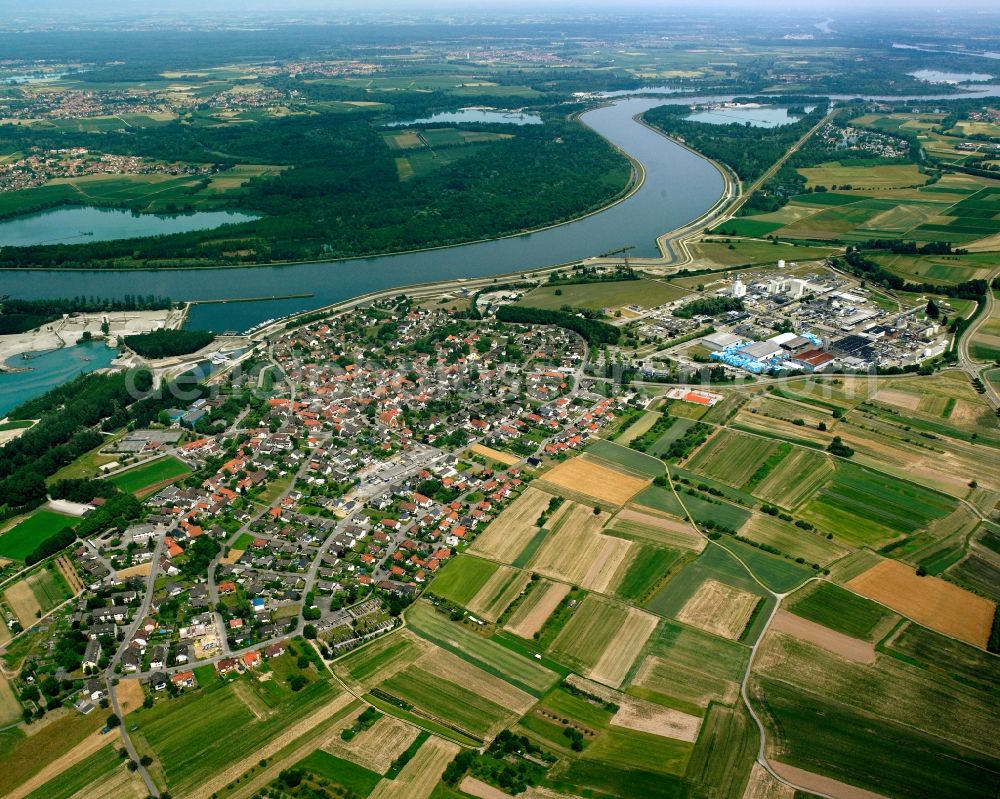 Greffern from above - Village view on the edge of agricultural fields and land in Greffern in the state Baden-Wuerttemberg, Germany