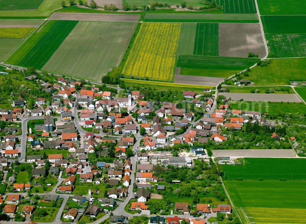 Griesingen from the bird's eye view: Village view on the edge of agricultural fields and land in Griesingen in the state Baden-Wuerttemberg, Germany