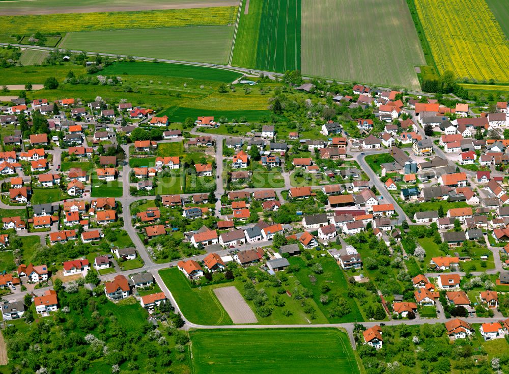 Griesingen from the bird's eye view: Village view on the edge of agricultural fields and land in Griesingen in the state Baden-Wuerttemberg, Germany