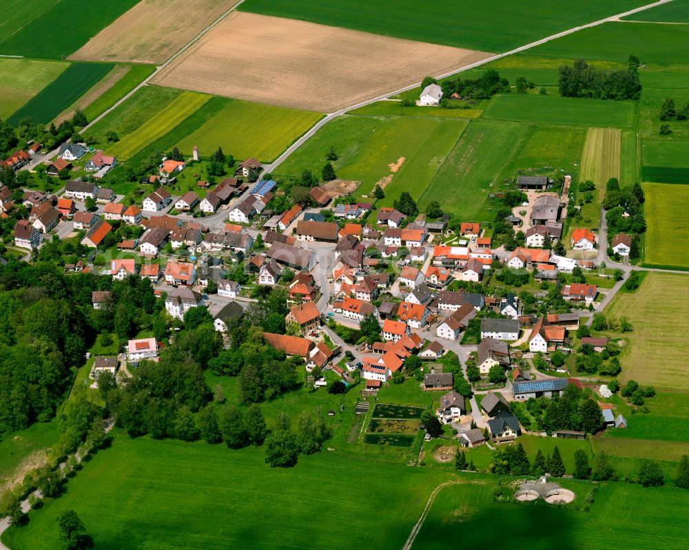 Grüningen from the bird's eye view: Village view on the edge of agricultural fields and land in Grüningen in the state Baden-Wuerttemberg, Germany