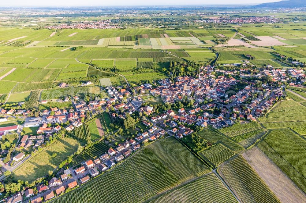 Aerial image Großkarlbach - Village view on the edge of agricultural fields and land in Grosskarlbach in the state Rhineland-Palatinate, Germany