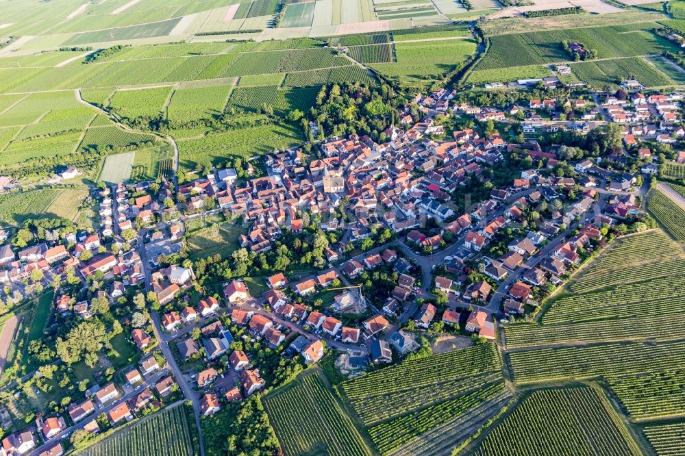 Aerial photograph Großkarlbach - Village view on the edge of agricultural fields and land in Grosskarlbach in the state Rhineland-Palatinate, Germany