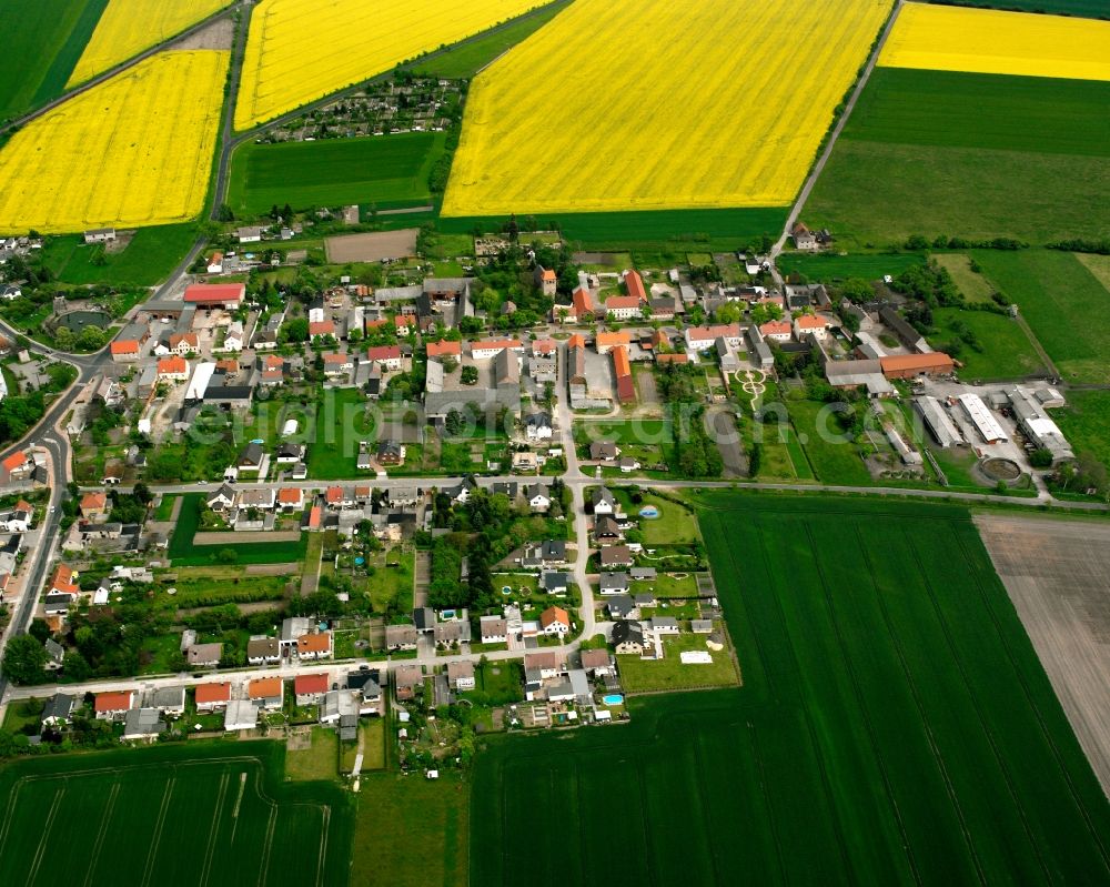 Aerial photograph Güterglück - Village view on the edge of agricultural fields and land in Güterglück in the state Saxony-Anhalt, Germany