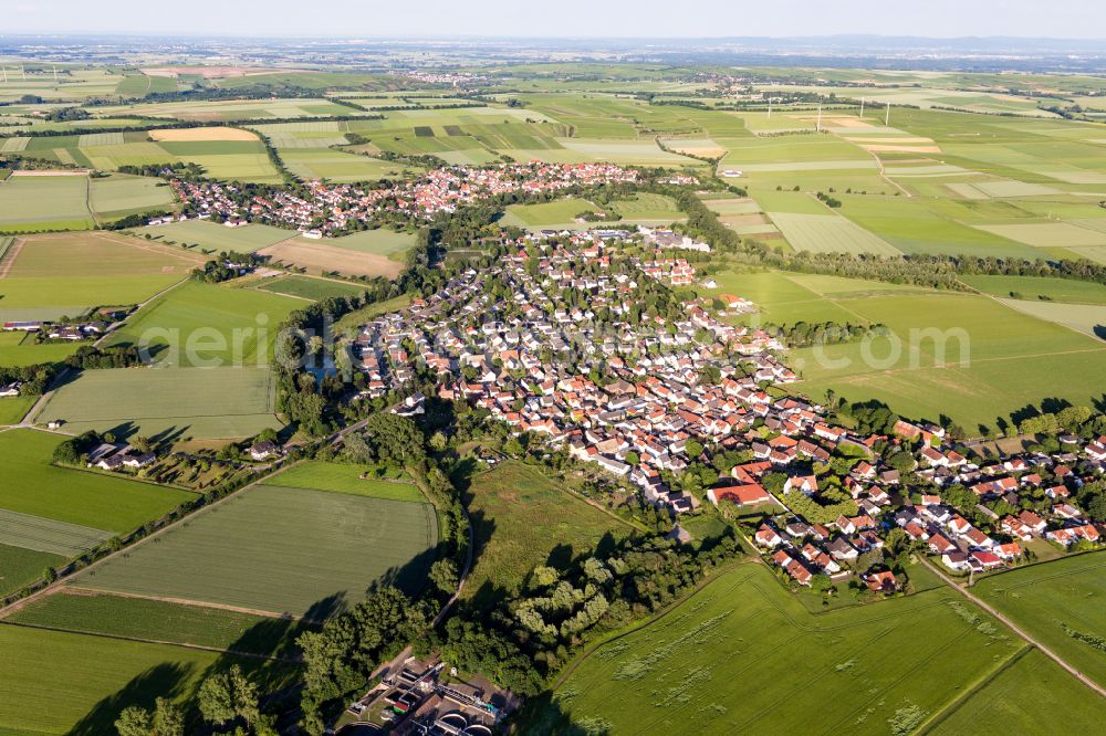 Hahnheim from above - Village view on the edge of agricultural fields and land in Hahnheim in the state Rhineland-Palatinate, Germany