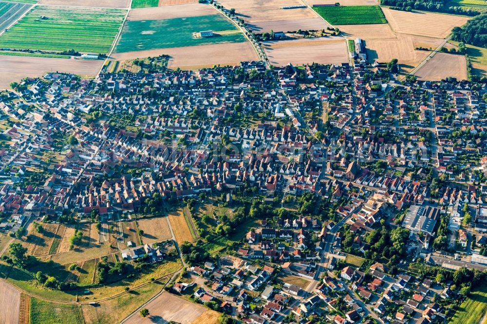 Harthausen from the bird's eye view: Village view on the edge of agricultural fields and land in Harthausen in the state Rhineland-Palatinate, Germany