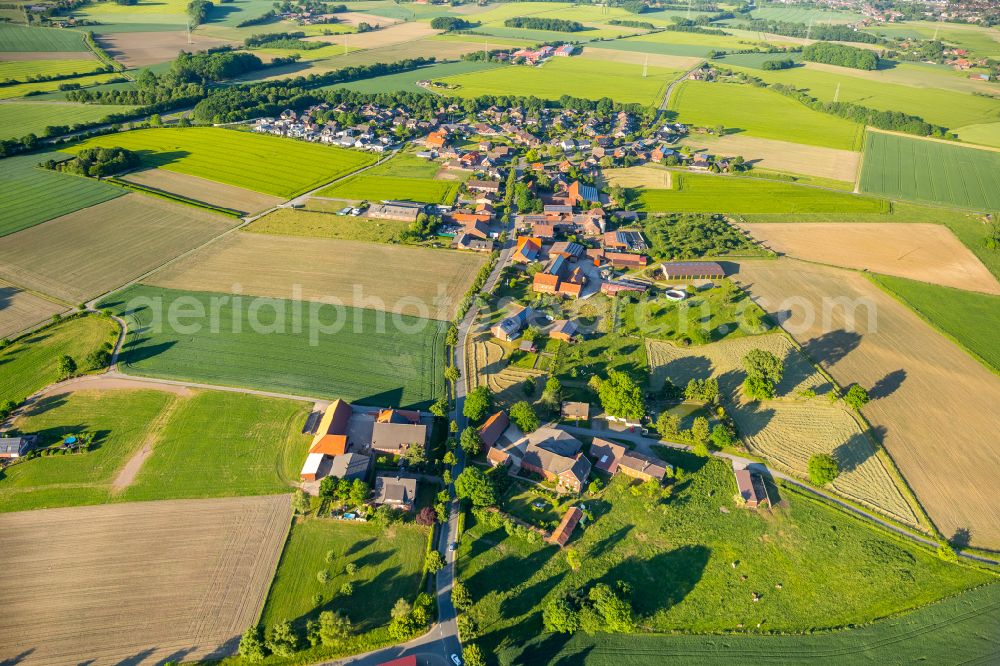 Horst from the bird's eye view: Village view on the edge of agricultural fields and land in Horst in the state North Rhine-Westphalia, Germany